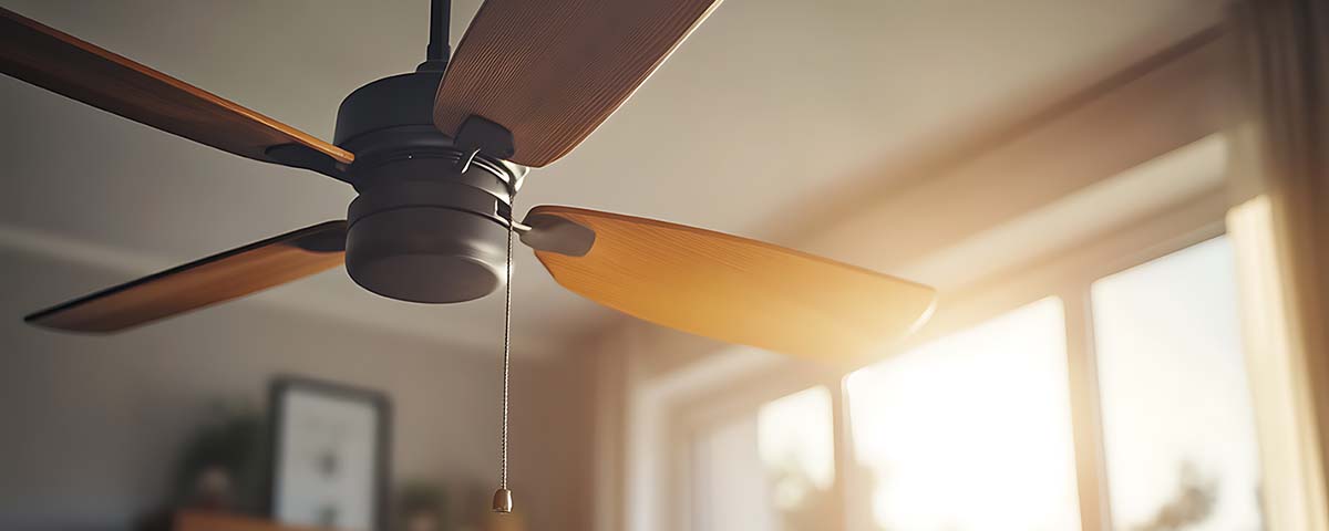 ceiling fan